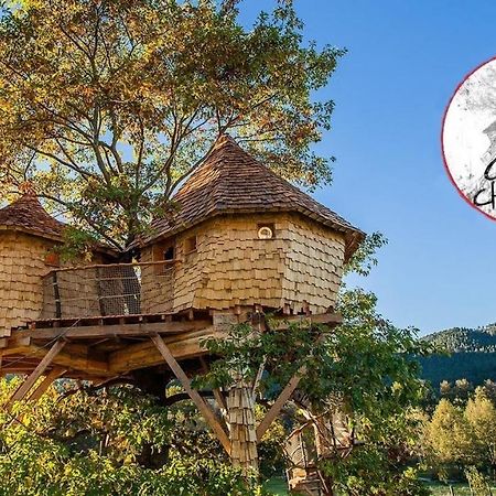Parthenope - Les Cabanes Du Chene Rouvre Saint-Die-des-Vosges Екстер'єр фото